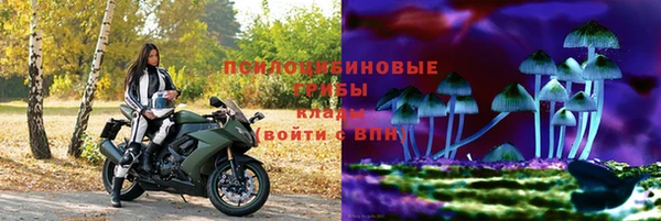 2c-b Абинск