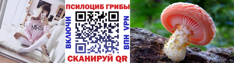 Галлюциногенные грибы Magic Shrooms  blacksprut онион  Челябинск  дарнет шоп 