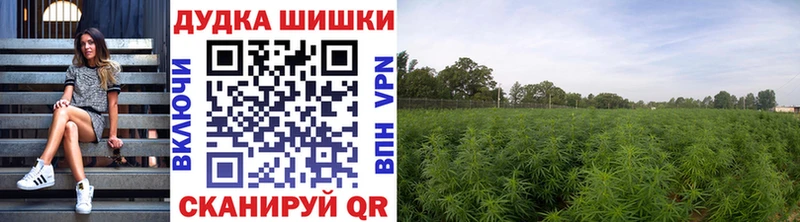 Бошки Шишки Ganja  Челябинск 